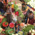 Mayan vendors selling colorful vegetables